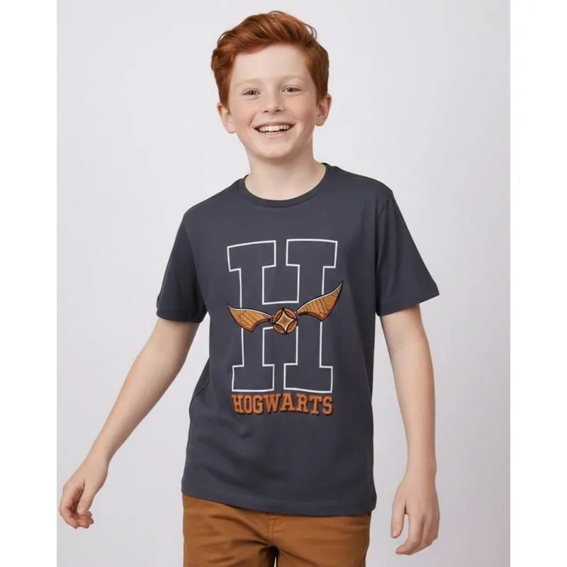 Camiseta Juvenil Algodão Warner Harry Potter Cinza 10