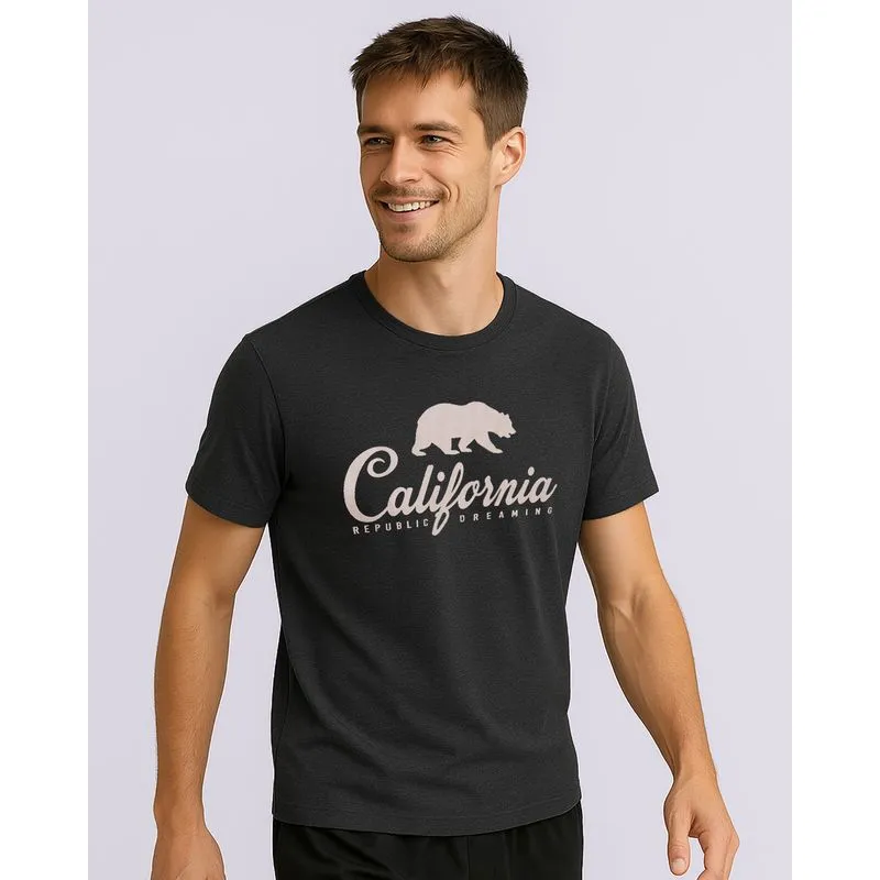 Camiseta Masculina Estampa Califórnia Manga Curta Cinza M
