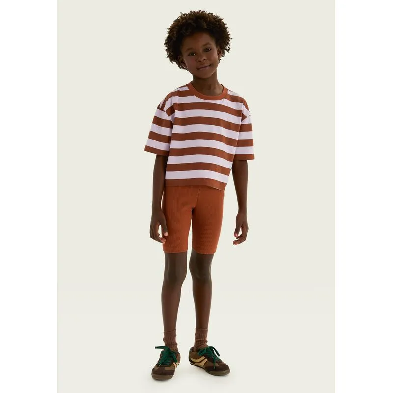 Conjunto Infantil Menina Listrado - Marrom 012