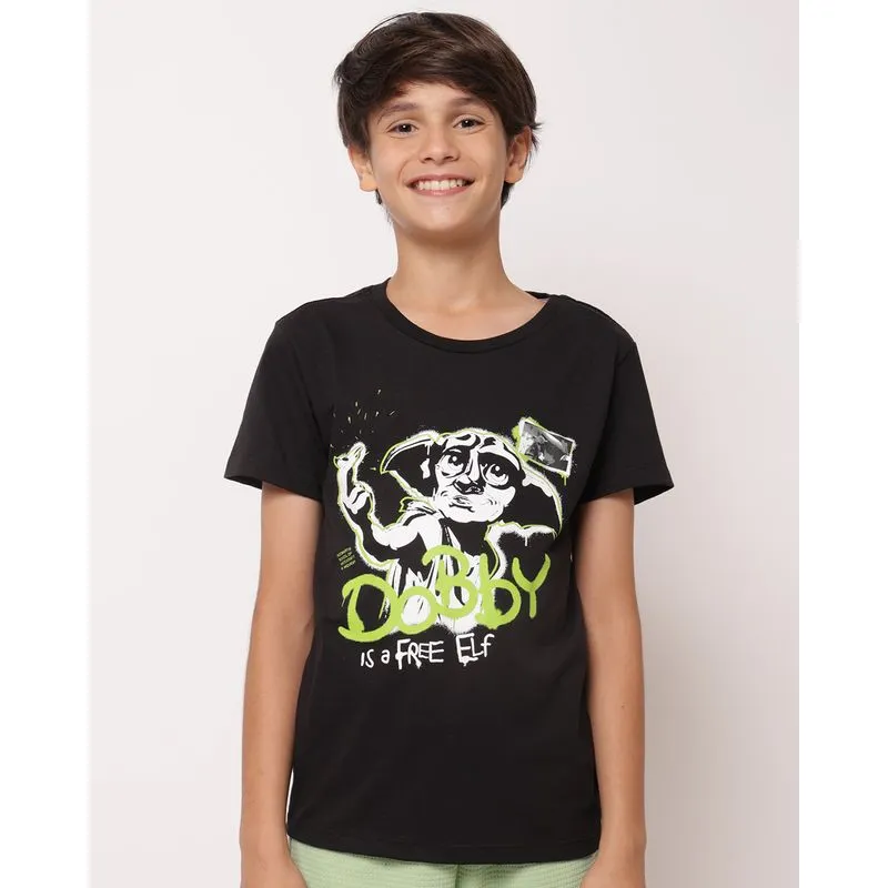 Camiseta Juvenil Warner Harry Potter Dobby Preto 14