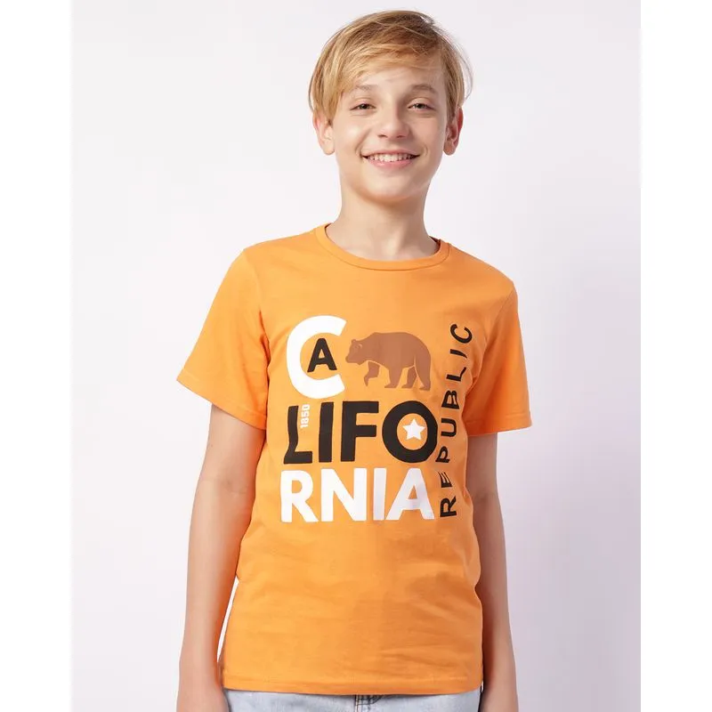 Camiseta Juvenil Algodão Estampa Califórnia Manga Curta Laranja 12