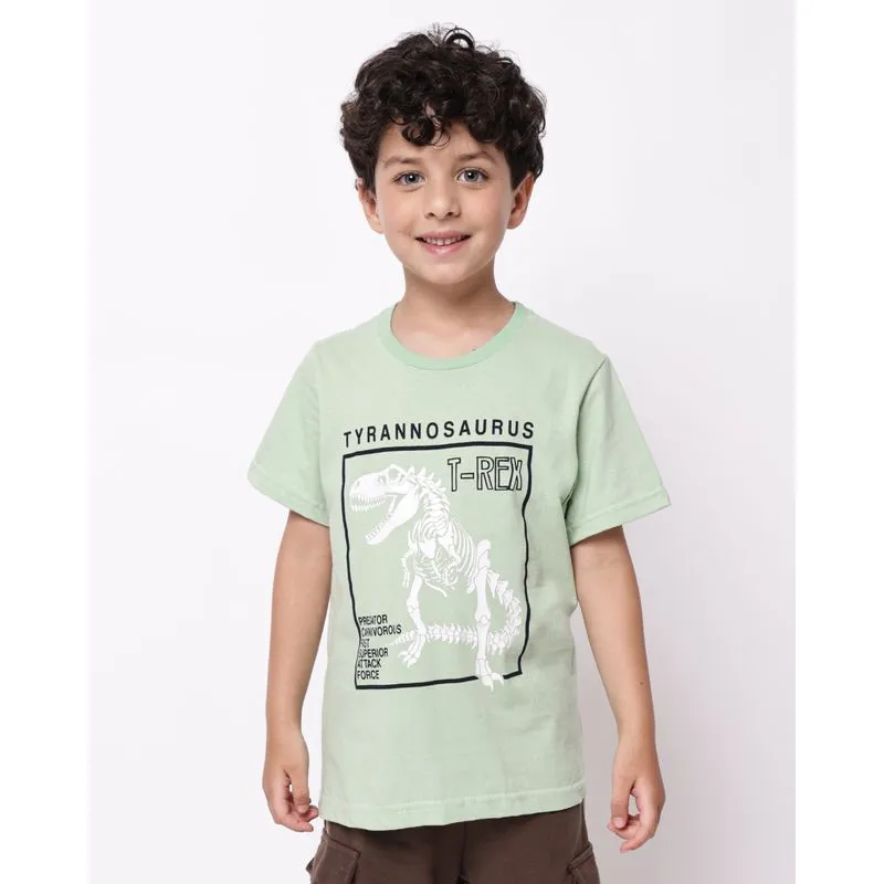 Camiseta Infantil Algodão Manga Curta Estampa Dinossauro Verde 6