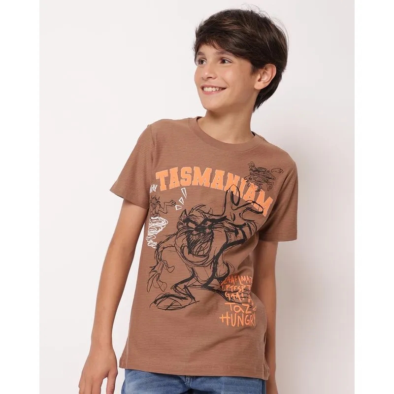 Camiseta Juvenil Algodão Texturizado Estampa Taz Marrom 10