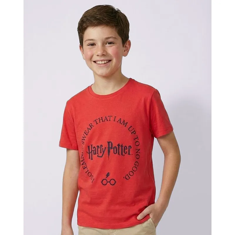 Camiseta Juvenil Algodão Harry Potter Vermelha 14