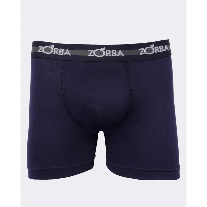 Cueca Masculina Boxer Zorba Azul M