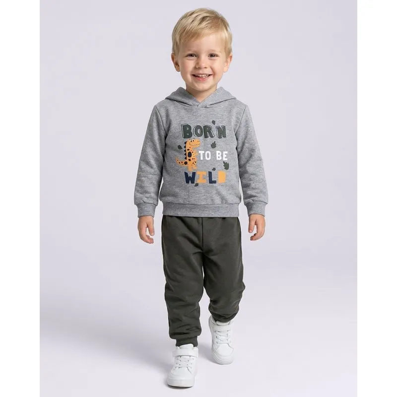 Conjunto Moletom Bebê com Capuz Estampa Dinossauros Cinza 3