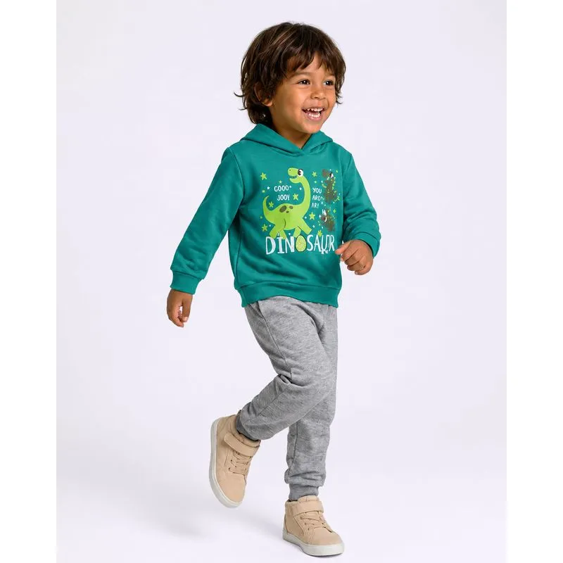 Conjunto Moletom Bebê Peluciado Estampa Dinossauro Verde 3