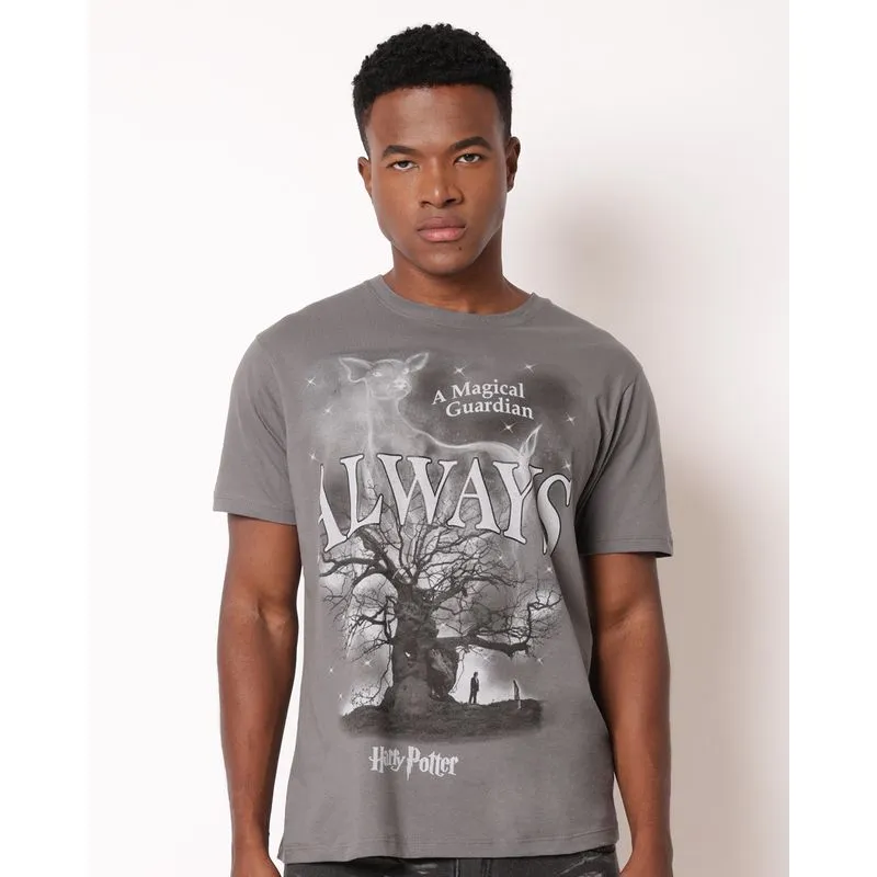 Camiseta Masculina Algodão Harry Potter Manga Curta Cinza P