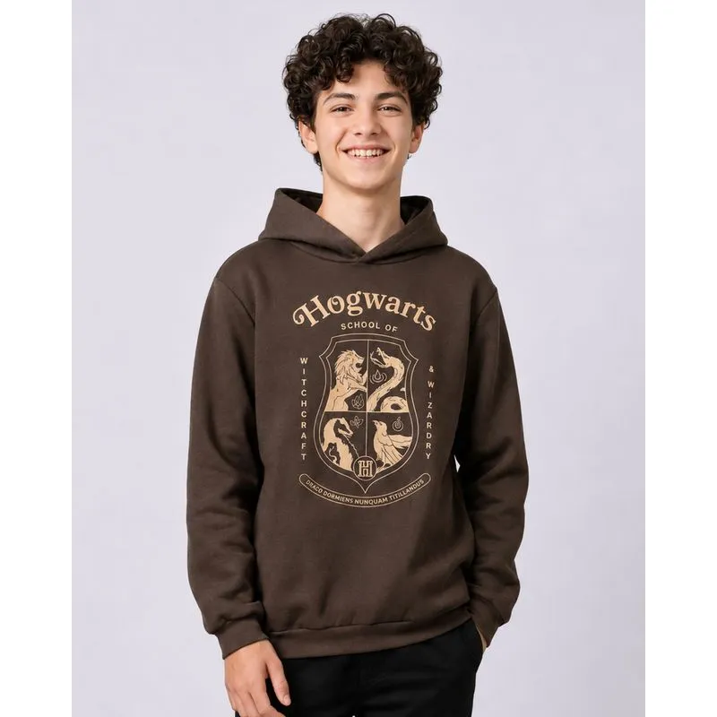 Blusão Moletom Juvenil com Capuz Harry Potter Marrom 16