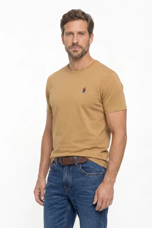 CAMISETA REGULAR DTF 193013 MARROM / P