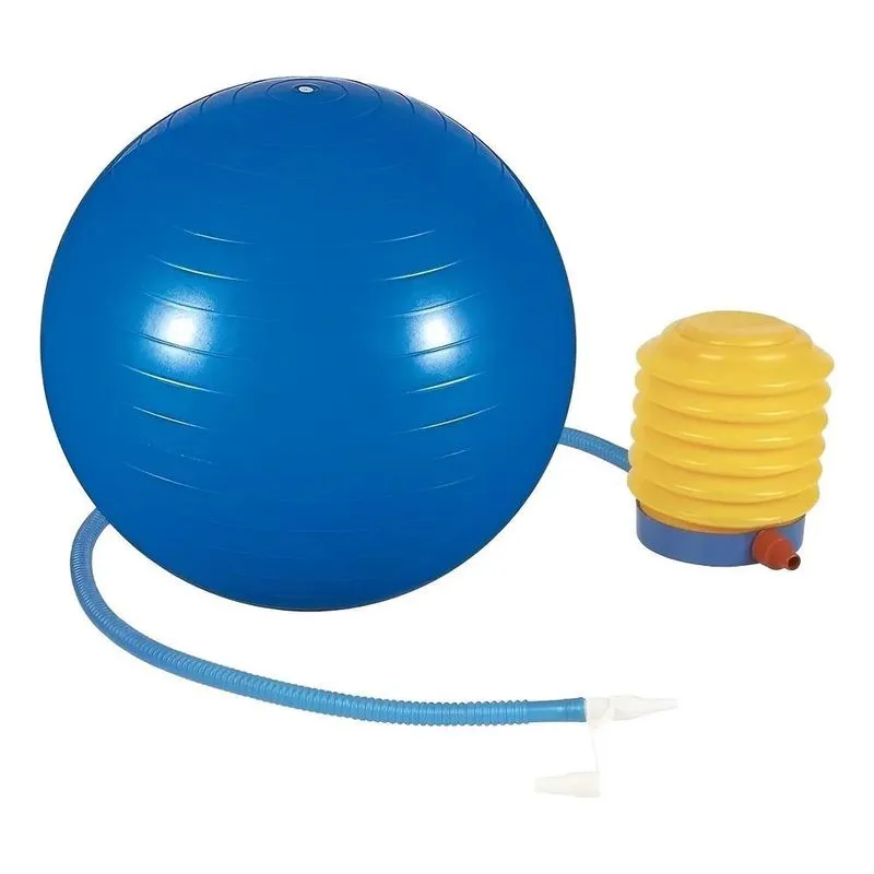 Bola Suiça Pilates Yoga Abdominal Fitness 75cm Bomba Grá Azu