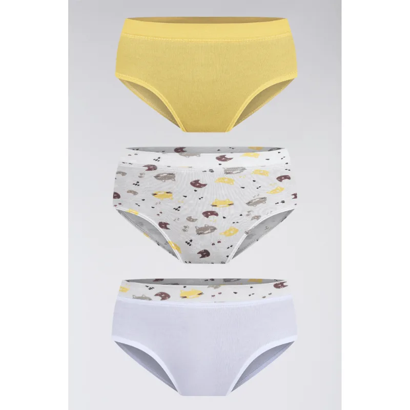 Kit 3 Calcinhas Algodão Infantil Feminina Lupo Tamanho: PP (0 a 02 anos) | Cor: Sortida