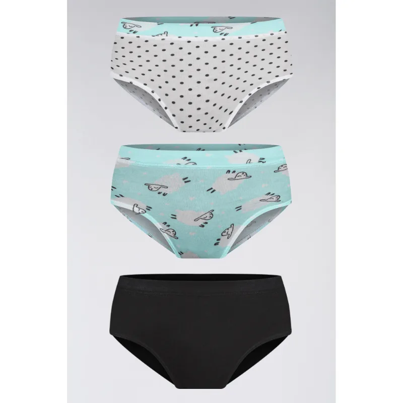 Kit 3 Calcinhas Algodão Infantil Feminina Lupo Tamanho: P (03 a 05 anos) | Cor: Sortida