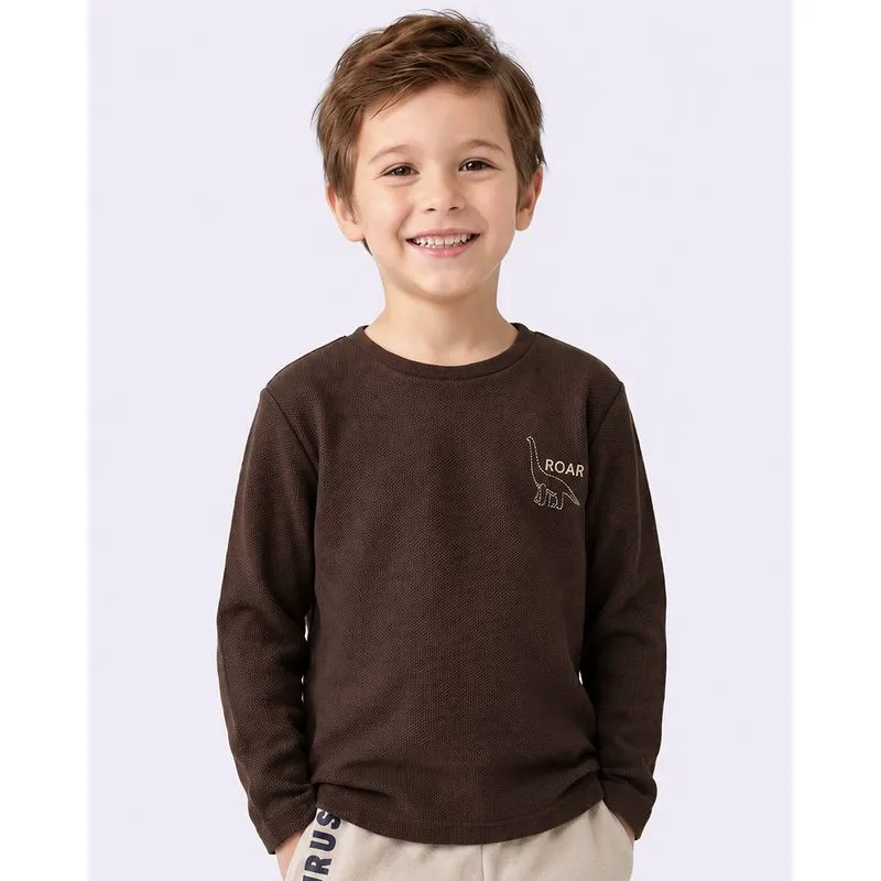 Camiseta Infantil Manga Longa Dinossauro Texturizada Marrom 6