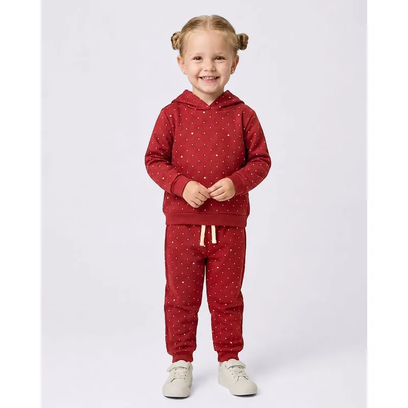 Conjunto Bebê Moletom com Capuz Estampado Vinho 3
