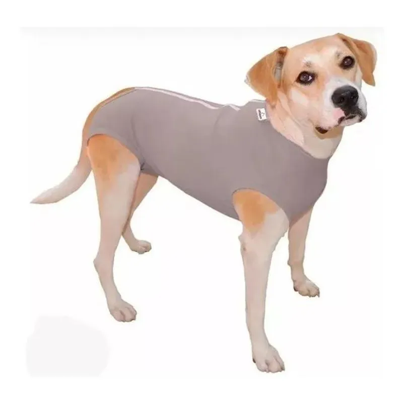 10x Roupa Cirúrgica Cães Femea Ou Macho Castração Nº 07 Ao 1