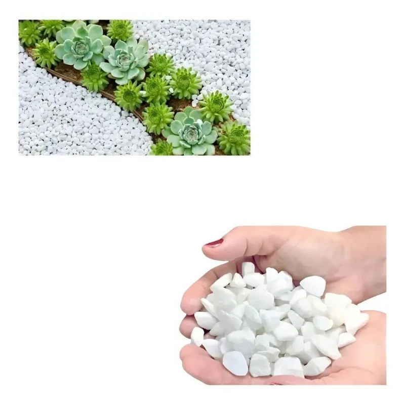 Pedrinha Branca Dolomita Ovo N 1 Vaso Jardim Aquário 1kg Cor
