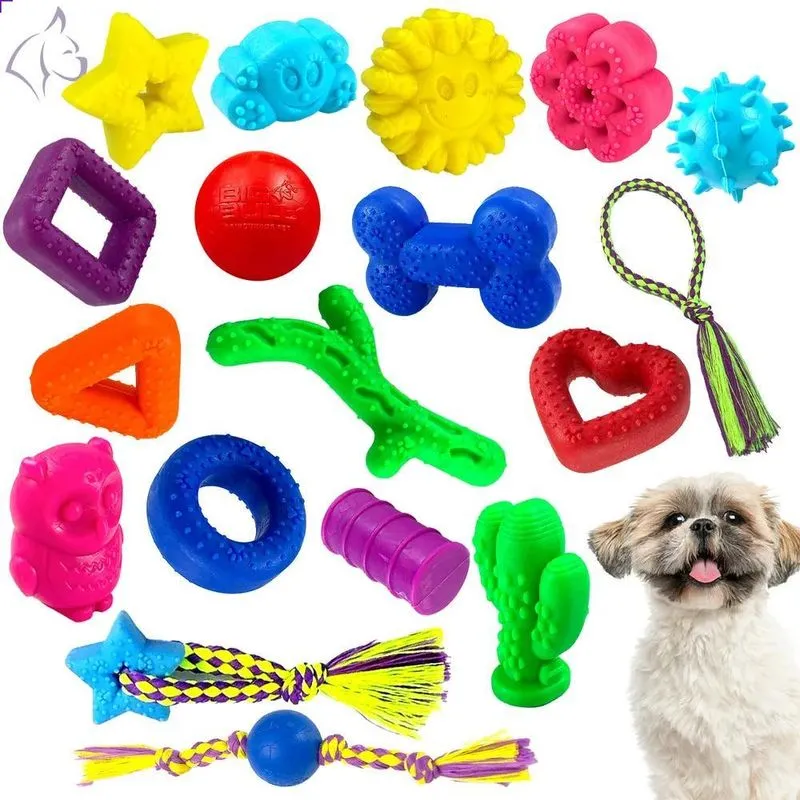 3x Brinquedo Pet Cachorros Interativo Anti Stress 10un Big B