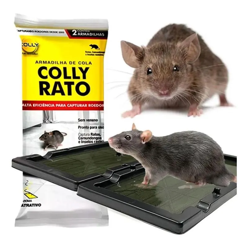 Armadilhas Super Colantes Para Ratos Placas De Cola 2 Placas