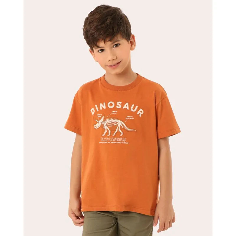 Camiseta Infantil Algodão Estampa Dinossauro Marrom 4