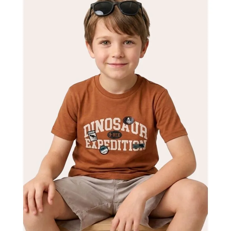 Blusa Infantil Algodão Estampa Dinossauro Marrom 8