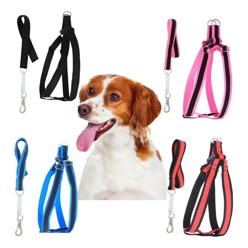 Coleira Peitoral Cachorro + Guia Com Amortecedor Rosa Pequeno