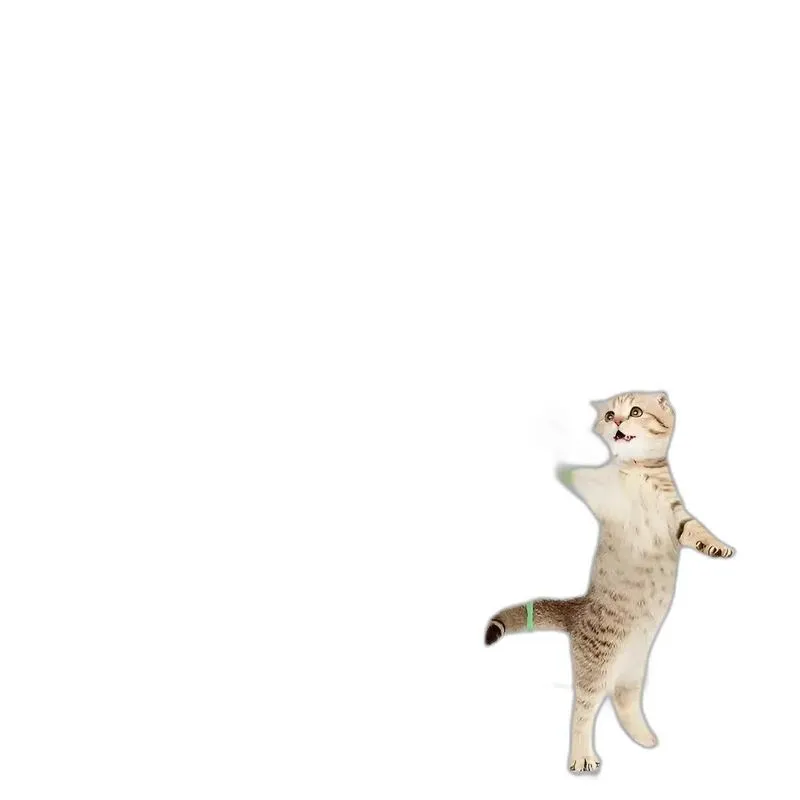 3 Brinquedo Gato Porta Suspenso Pendurar Na Porta Elástico C