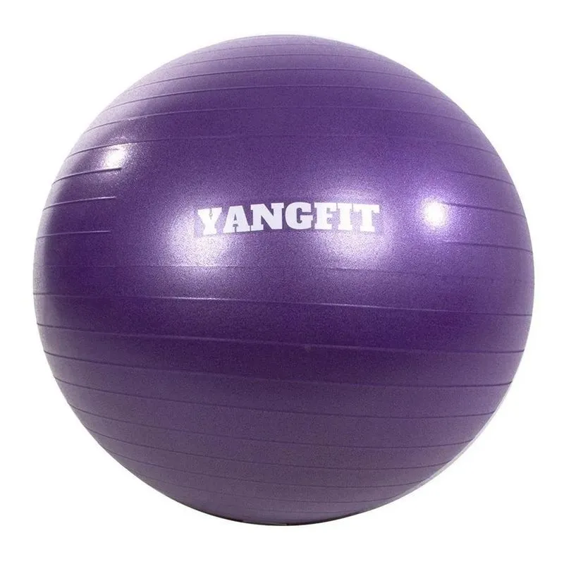 2x Bola Pilates Suíça Exercícios Yoga 65cm Com Bomba De Infl