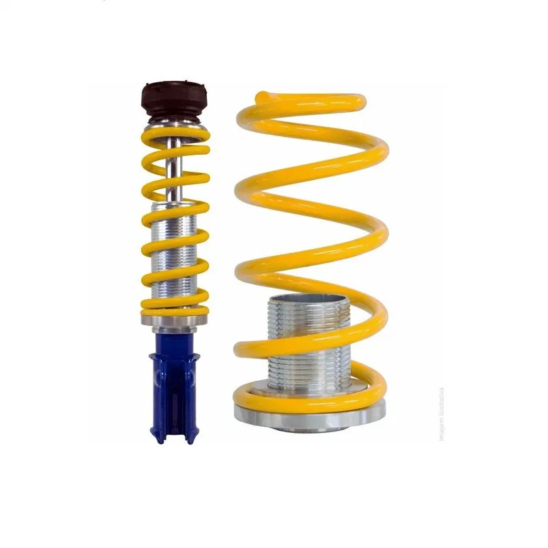Kit de Suspensão a Rosca Slim Renault Clio 1.6 00/-- Tebão