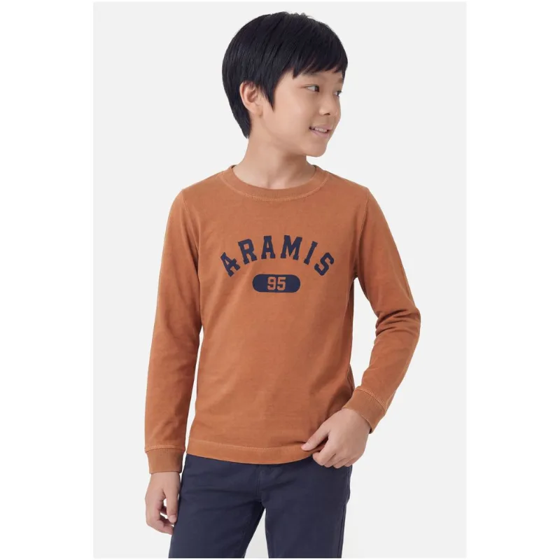 Camiseta Infantil Manga Longa Estampa College Ferrugem 117 - 12