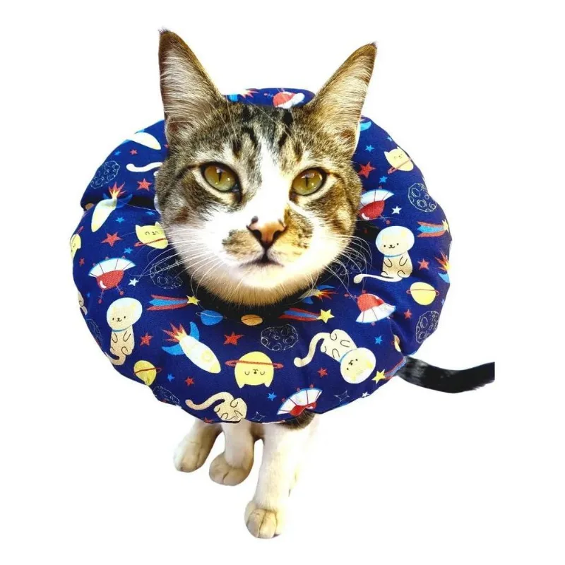 2x Colar Confortável Elizabetano Para Gatos