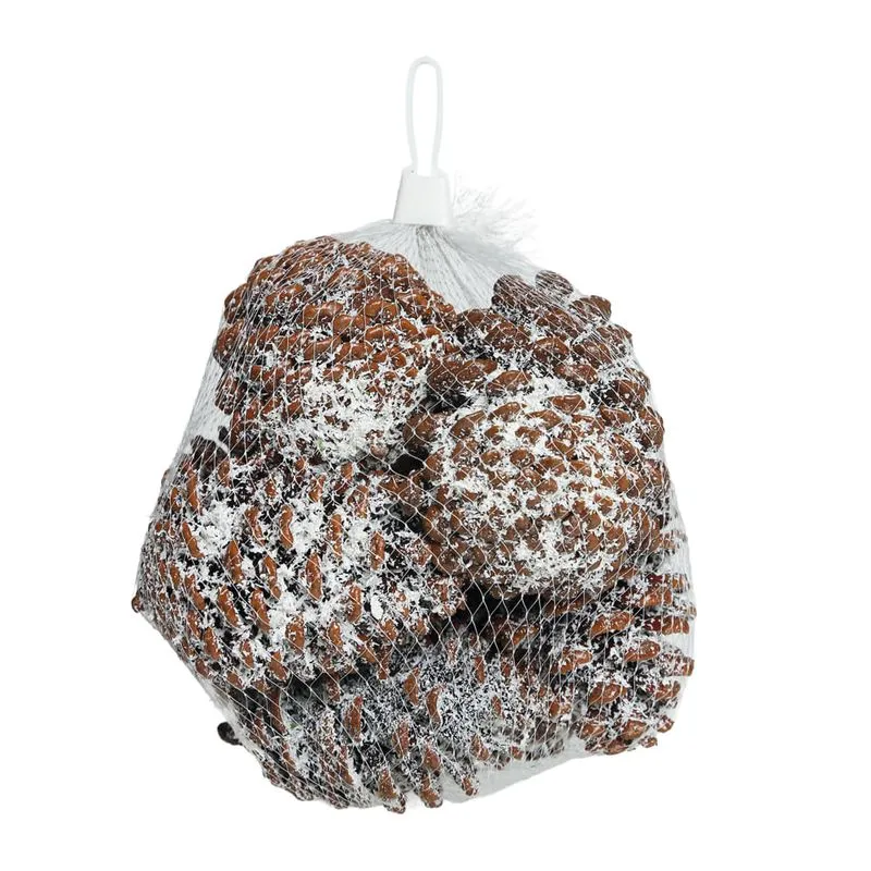 Saco De Pinha Decorativa Nevada 8 Peças Cromus 10cm