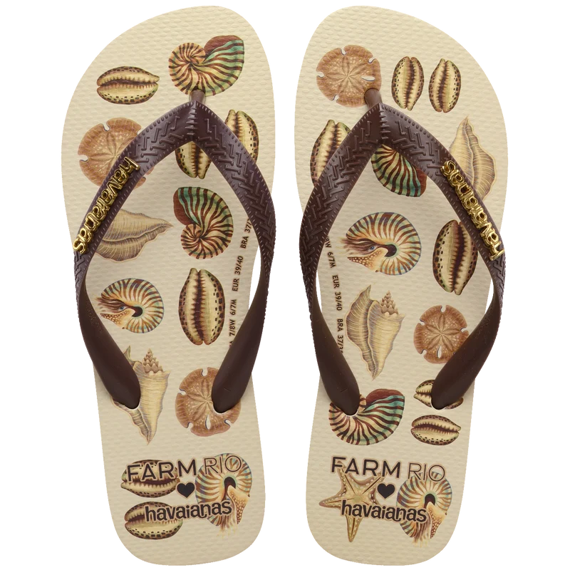 Chinelo Havaianas Farm Conchas Café / 33/34 - Havaianas