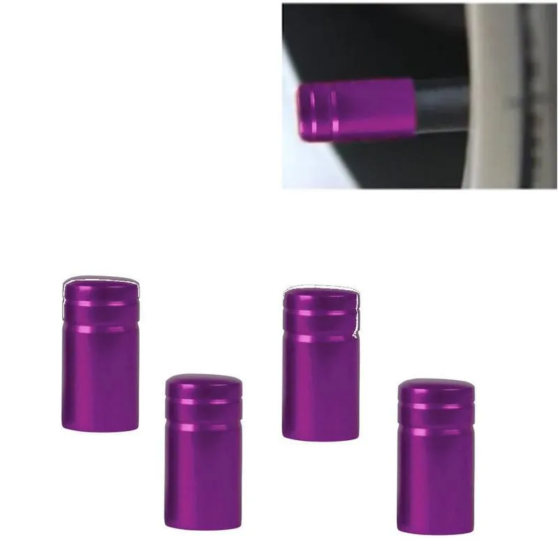 Tampa Bico Valvula Roxo Vw Parati