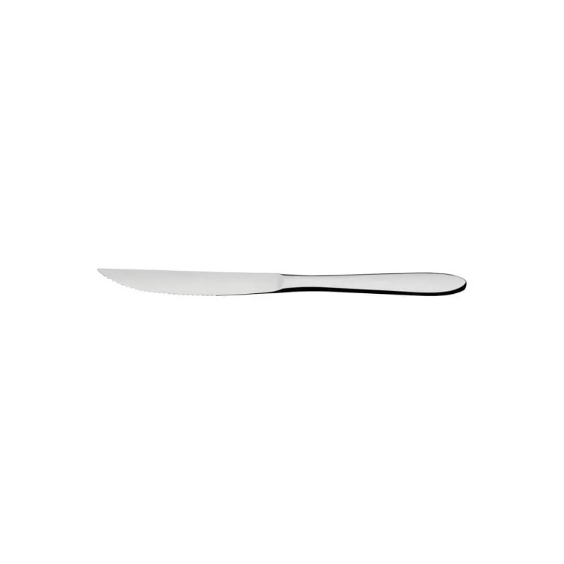 Faca para Churrasco Satri Corte Afiadíssimo Aço Inox Acabamento em Alto Brilho Kit com 48 Tramontina - Tramontina