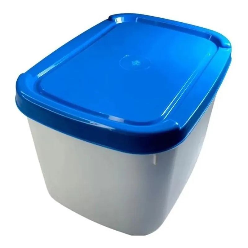 Pote Sorvete Plástico Tampa Colorida 2 Litros 1 Tampas Azul