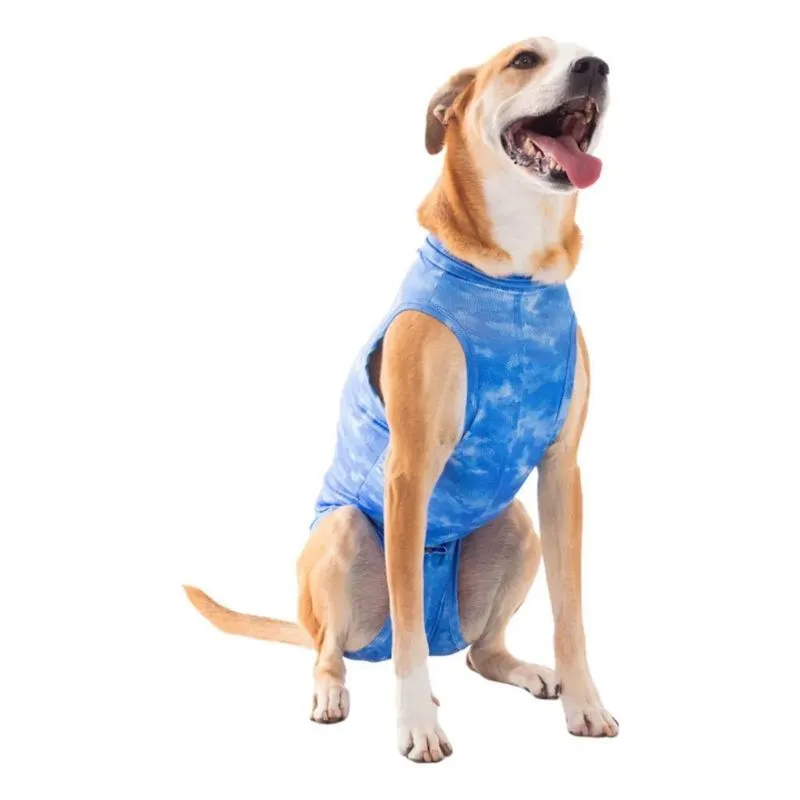 Roupa Cirúrgica Castração Cães Femea Ou Macho N Macho / Nº10