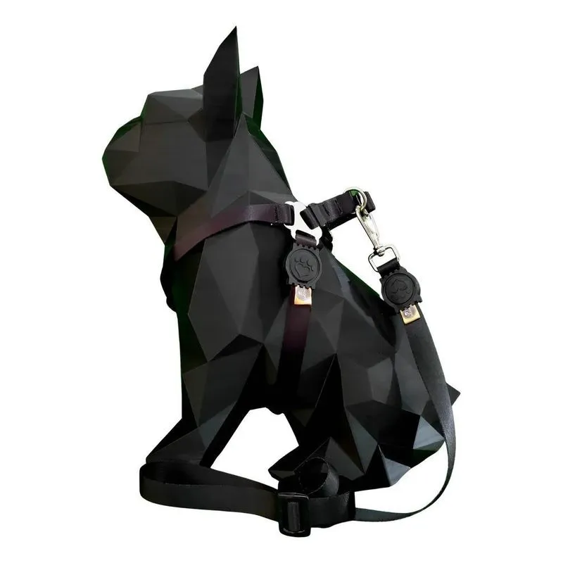 Coleira Peitoral Cachorro Porte Pequeno E Preto M