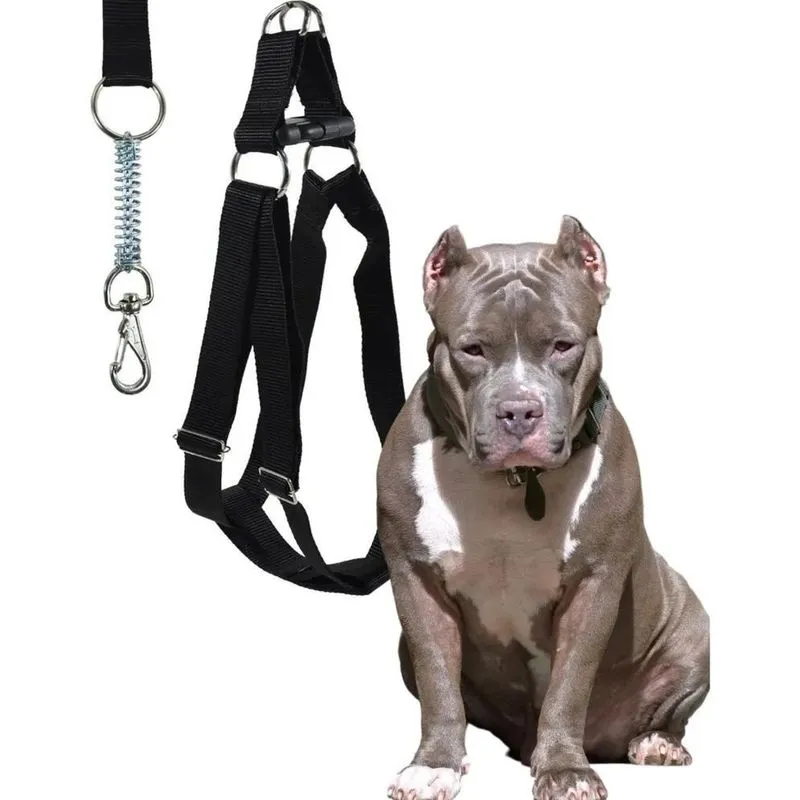 Coleira De Pitbull Peitoral Com Guia Amortecedor Resiste Pre