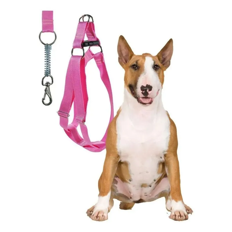 Coleira De Pitbull Peitoral Com Guia Amortecedor Resisten Ro