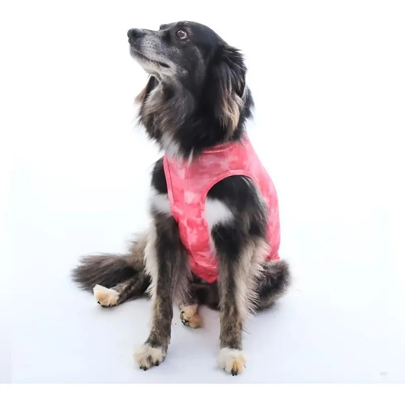 Roupa Cirúrgica Castração Cães Femea Ou Macho N Femea / Nº06
