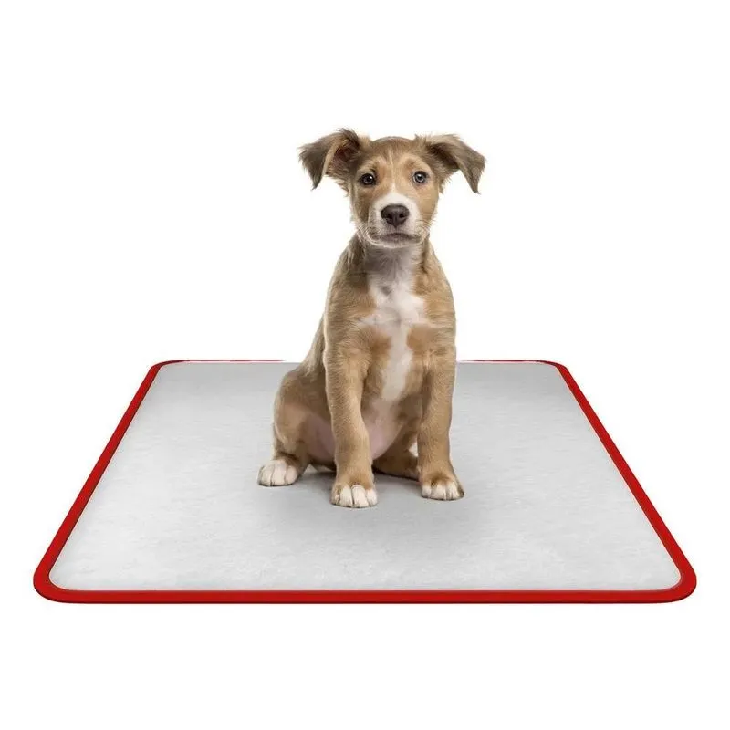 Tapete Higiênico Lavável Para Cães - M 80x60 - 5 Un Vermelho