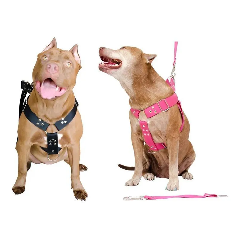 Peitoral Coleira Com Regulagem Guia Para Cães Reforçada Cor