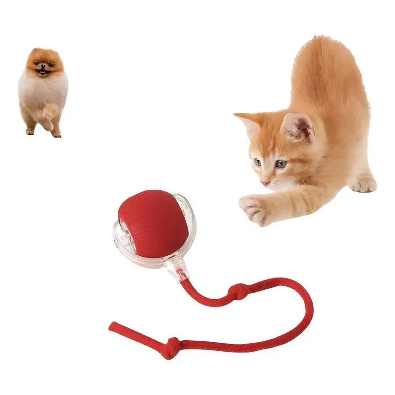 5x Bola Inteligente Pet Brinquedo Interativo Gatos Cachorro