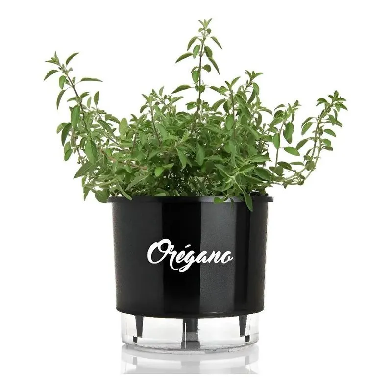 2x Vaso Raiz Auto Irrigável Gourmet 16cm Autoirrigável Tempe