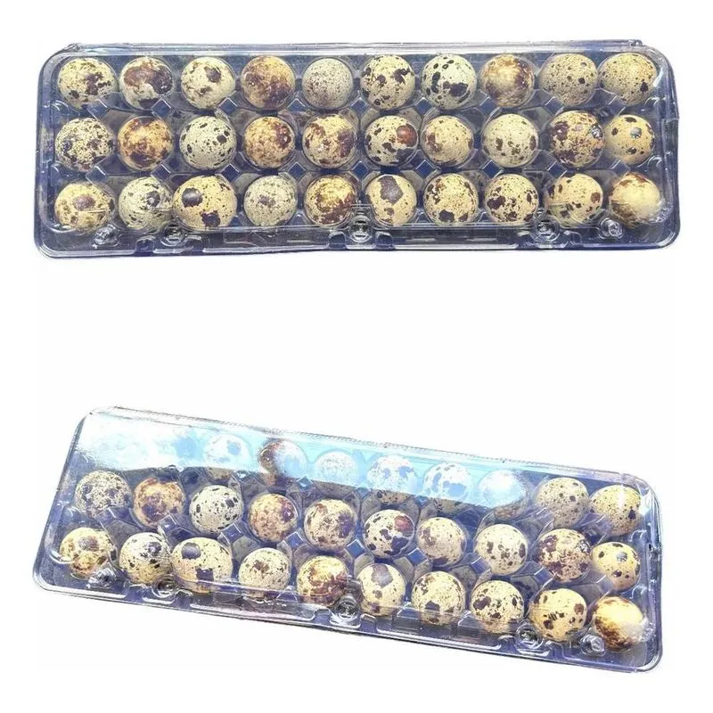 Embalagem Bandeja Para 30 Trinta Ovos De Codorna 100 Unid Co