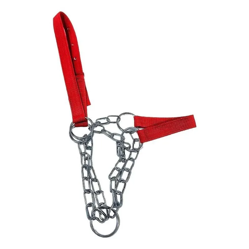 Cabresto Para Vaca E Boi De Fita Com Corrente De Ferro