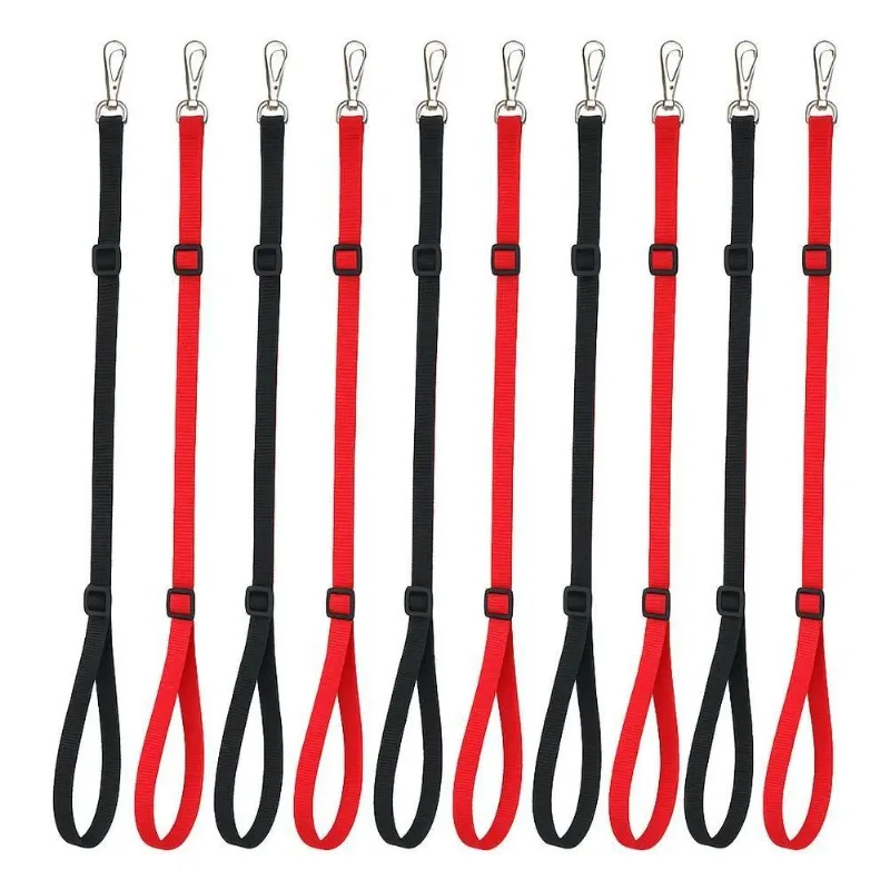 3x Guia De Contenção Banho E Tosa Pet Shop Premim Kit 10 Uni