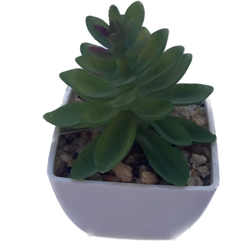 Cacto Artificial com Vasinho Em Plástico Toque Real Lindo