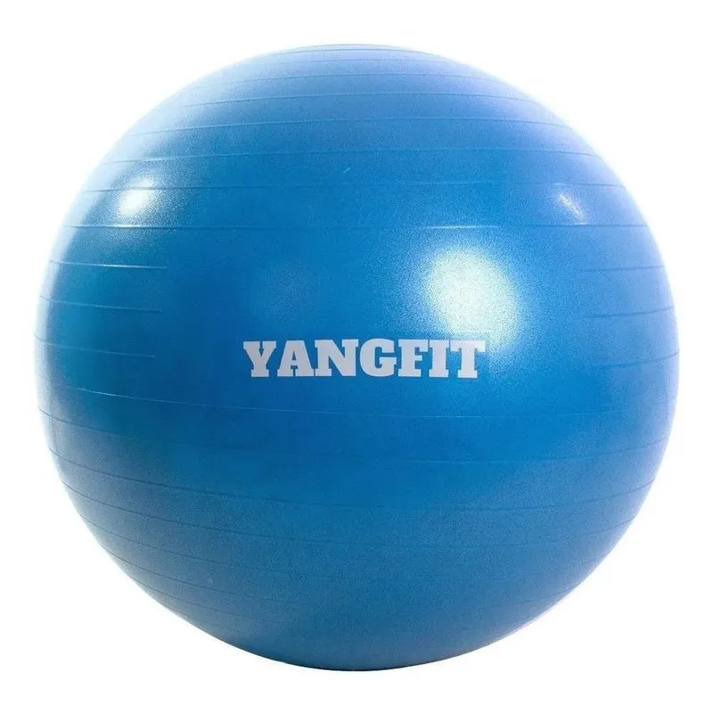 Bola Pilates Suíça Exercícios Yoga 55cm Com Bomba De Inflar